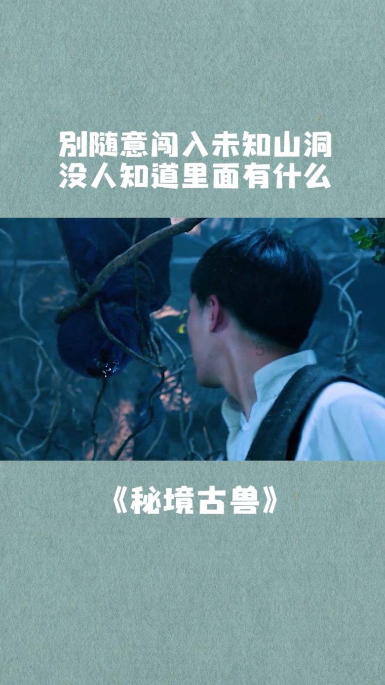 探索知识星球平台| 如果有机会,你会选择去支教吗?知识分享社区